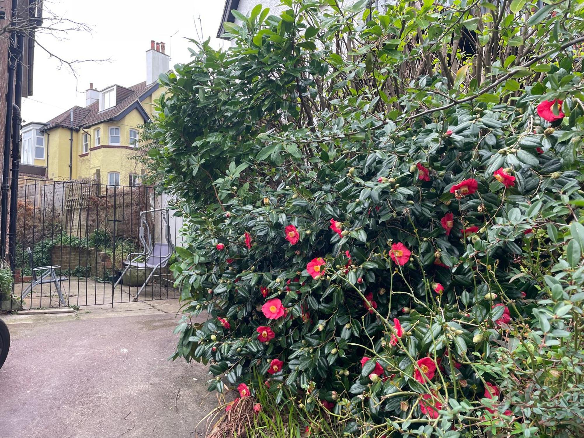 Livadia House At St Leonards On Sea Bed & Breakfast Luaran gambar
